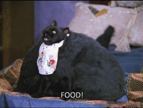 吃瓜娱乐圈懒猫儿